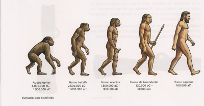 Почему сегодня существует только один вид Homo — Homo sapiens?